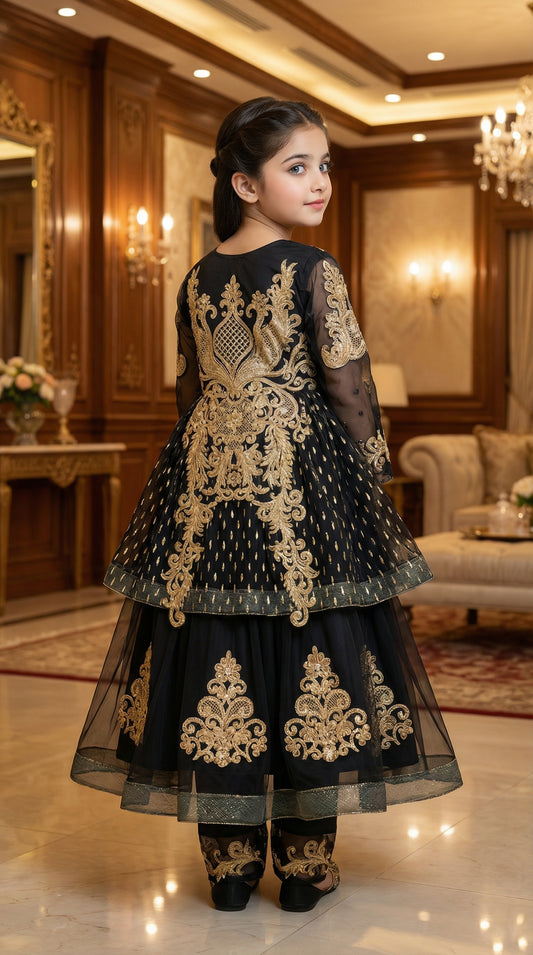Zari Royale Black Embroidered Net & Chiffon Frock