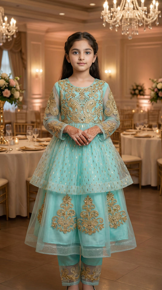 Empress Gold-Embroidered Chiffon & Net Frock