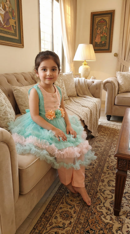 Bella Butterfly Ruffled Net Frock