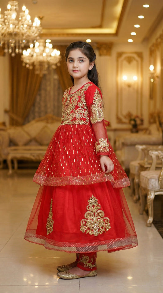 Royal Zari Embroidered Net & Chiffon Frock