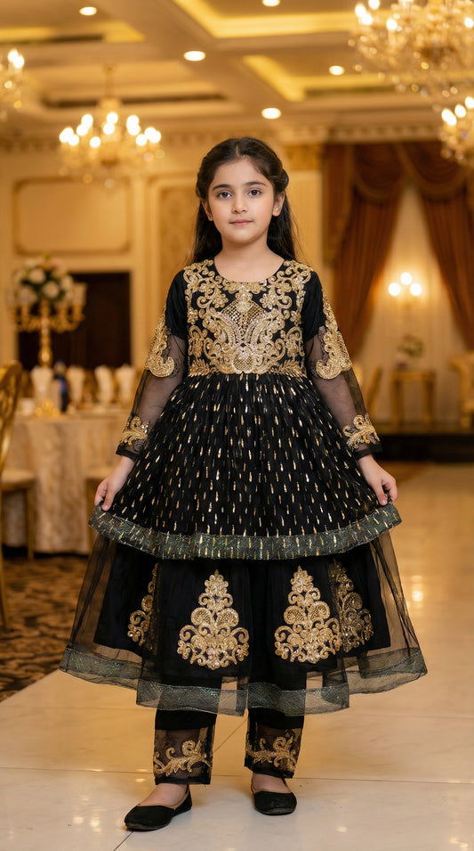 Zari Royale Black Embroidered Net & Chiffon Frock