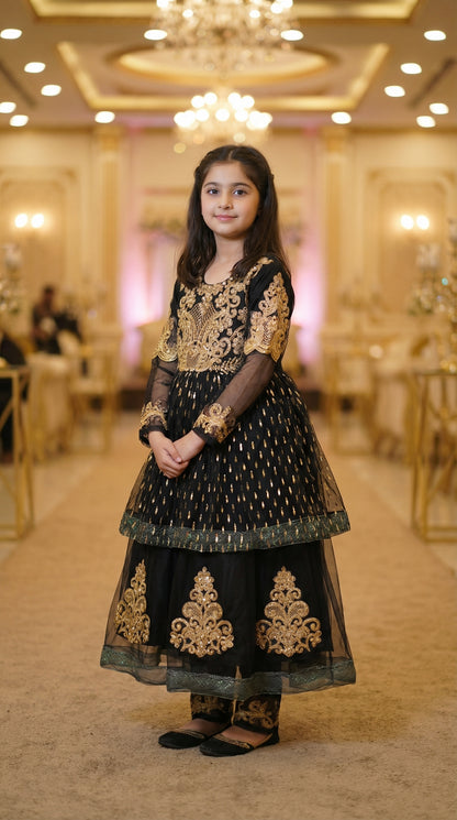 Zari Royale Black Embroidered Net & Chiffon Frock